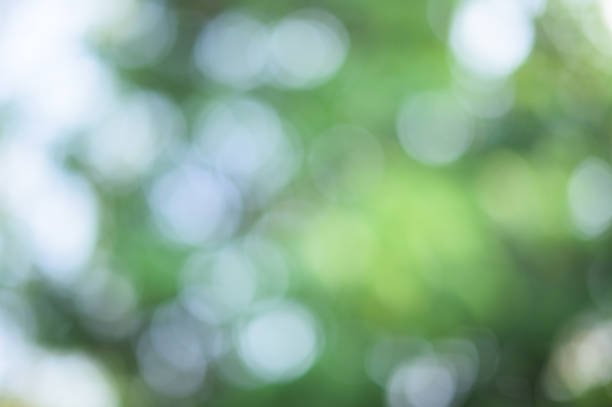 istock Bokeh sphere green from natural light background 1329623635