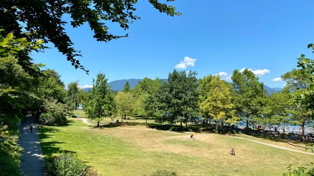 istock Park Vancouver outdoor trees mountains grass summer 1329629726