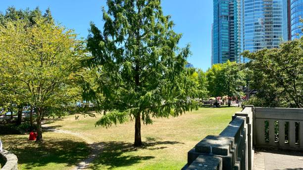 istock Park Vancouver outdoor trees mountains grass summer 1329630338