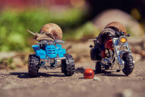 istock One snail on a quad bike, the second on a motorcycle on a blurry background. 1329633007