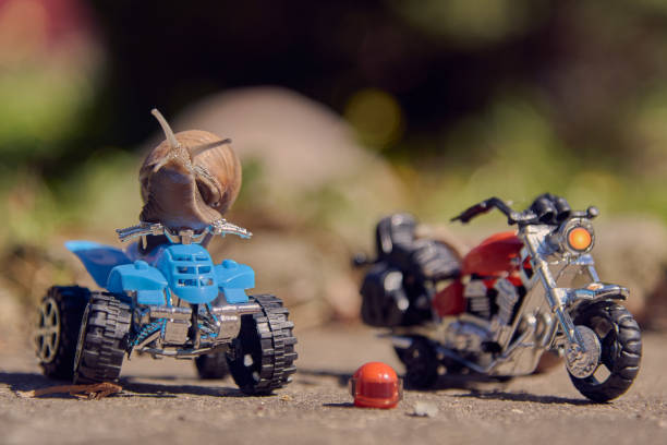 istock A grape snail on a blue ATV, with a motorcycle nearby. 1329634069