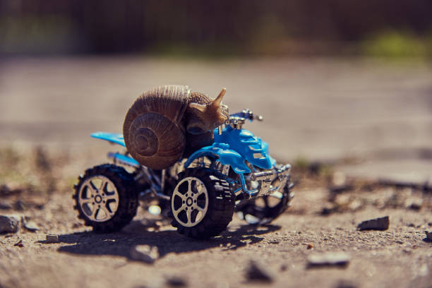 istock A grape snail on a blue toy ATV. Selective focus on the snail's head. 1329634098