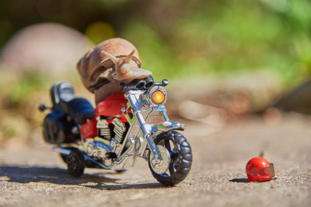 istock A large grape snail on a bright toy motorcycle on a blurred natural background. 1329634123