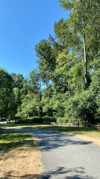 istock Park trail British Columbia summer noon 1329635794