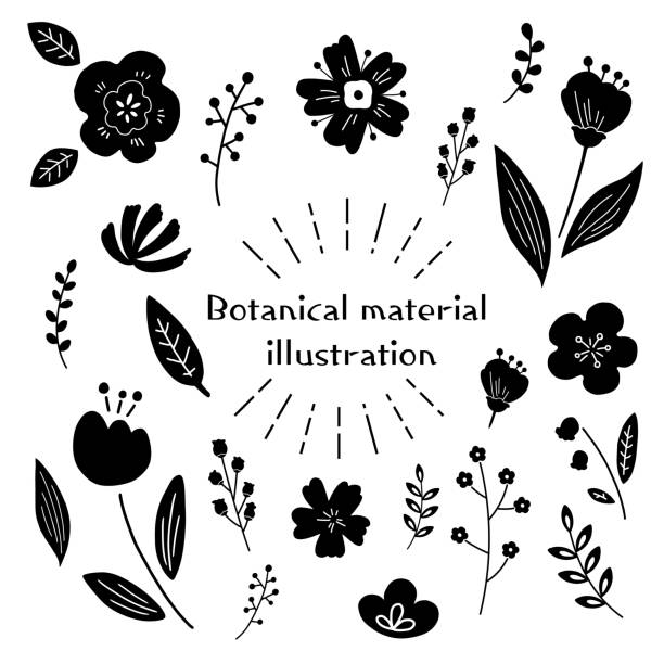 ilustrações, clipart, desenhos animados e ícones de conjunto de estilo escandinavo de materiais de ilustração fofos de flores e plantas - europa do norte