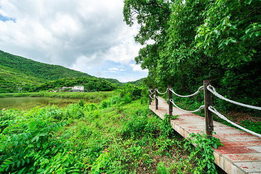 Country road of tranquil landscape in rural scene in Lai Chi Wo, Hong Kong