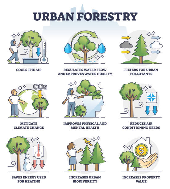 13,200+ Urban Forest Stock Illustrations, Royalty-Free Vector