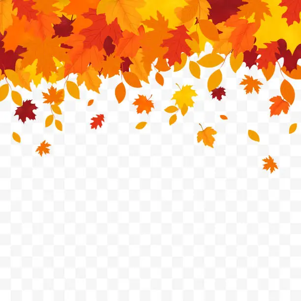 Vector illustration of Autumn falling leaves isolated