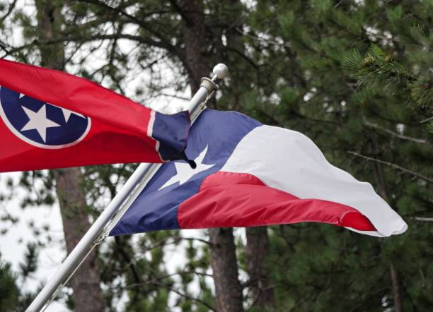 istock State flags of Tenenesse (right) and Texas hanging from poles 1329644358