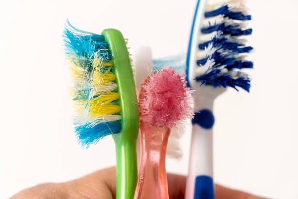 istock Old, spoiled, disheveled, colored toothbrushes in hand 1329645508