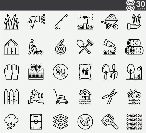 ikony travnatých lístců - trávník stock ilustrace