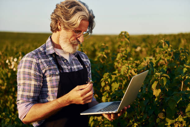 istock Quality control by using laptop. Senior stylish man with grey hair and beard on the agricultural field with harvest 1329652175