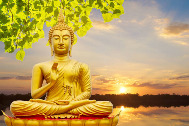 Golden Buddha image under the Bodhi leaf, natural background Golden Buddha image under the Bodhi leaf, natural background Bodhi Day stock pictures, royalty-free photos & images