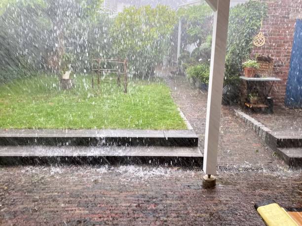 Heavy rain in garden
