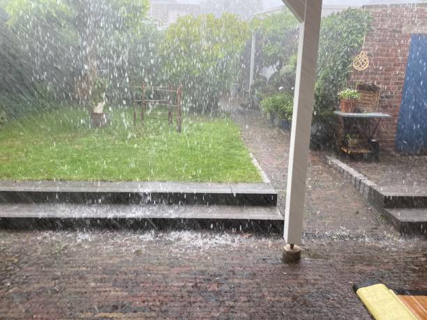 istock Heavy rain in garden 1329656588