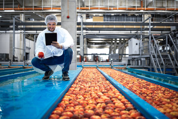 istock Technologist in food processing factory controlling process of apple fruit selection and production. 1329656630