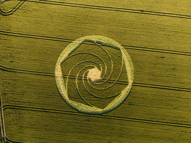 Crop Circle in field at Avebury. Avebury, Wiltshire, crop circle crop circle stock pictures, royalty-free photos & images