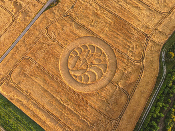 Hackpen Hill Crop circle Hackpen Hill Crop circle in wiltshire crop circle stock pictures, royalty-free photos & images