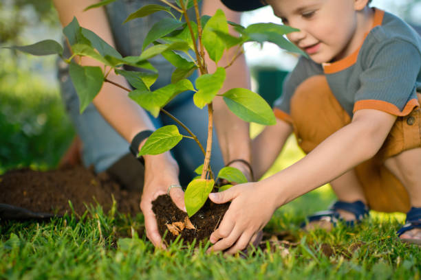 istock Family planting a tree 1329657163