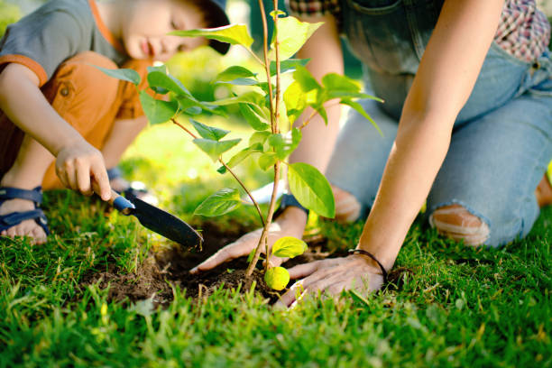istock Family planting a tree 1329657203