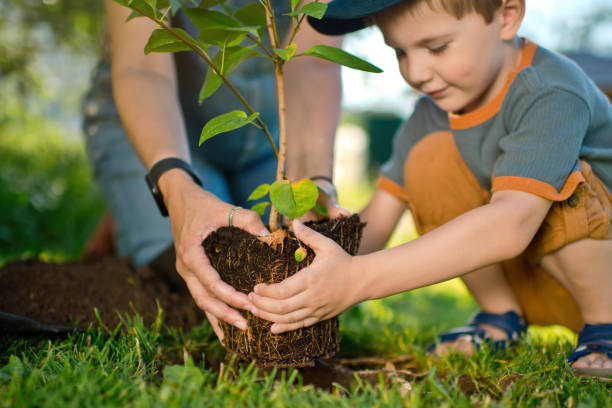istock Family planting a tree 1329657266
