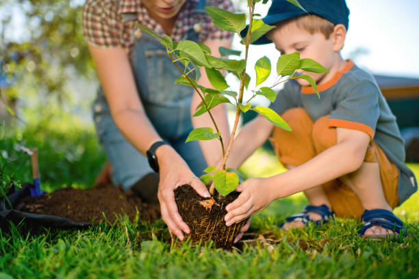 istock Family planting a tree 1329657278