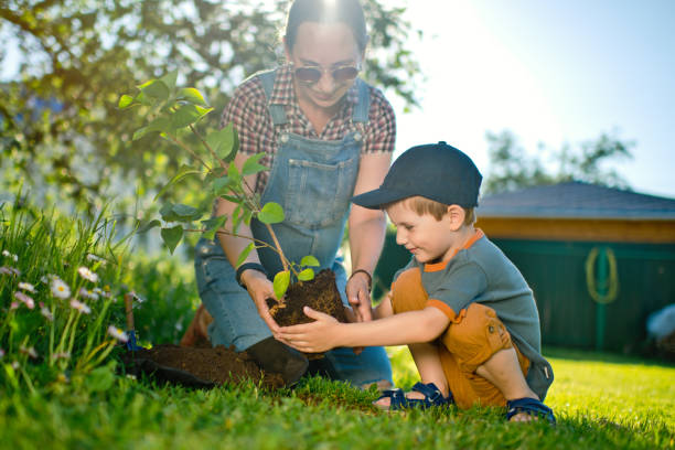 istock Family planting a tree 1329657283