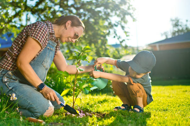 Little boy and his pregnant mother planting in springtime or summer.
