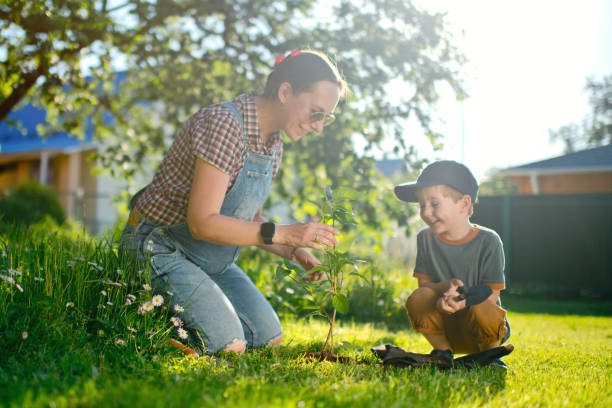 Little boy and his pregnant mother planting in springtime or summer.