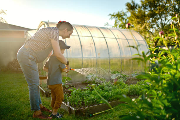 istock Family watering garden in sunset 1329657398