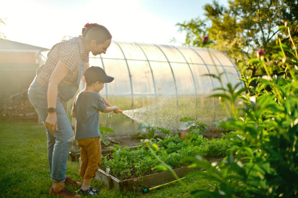 istock Family watering garden in sunset 1329658040