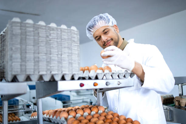 istock Eggs production line and factory worker checking quality 1329658130