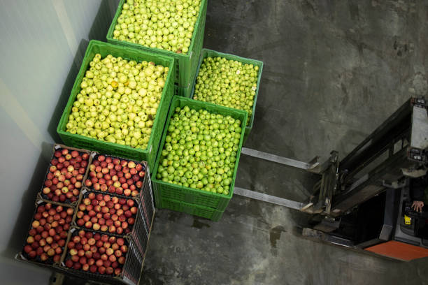istock Crates full with apple fruit being moved in cold storage by forklift machine. 1329658176