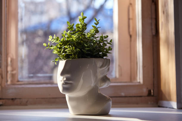 istock Vase in the shape of a face with greenery 1329658637
