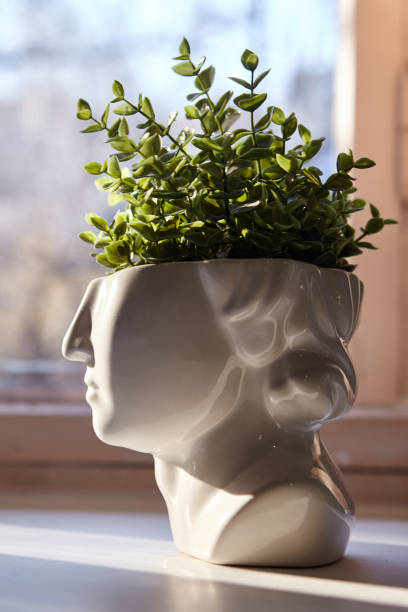 istock Vase in the shape of a face with greenery 1329658640