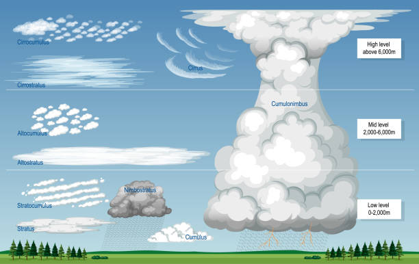 ilustraciones, imágenes clip art, dibujos animados e iconos de stock de los diferentes tipos de nubes con nombres y niveles de cielo - cirrocumulus