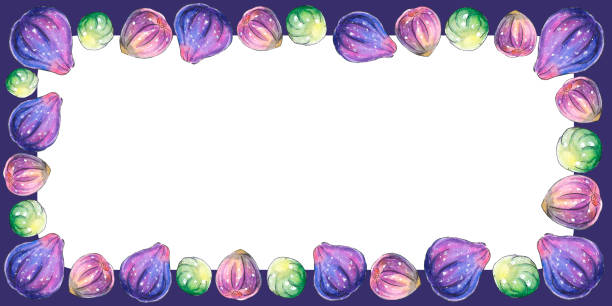 istock Rectangular frame, border of watercolor figs. Hand drawn bright decoration, images of berry, fruit in sketch style. For food design, packaging 1329661490