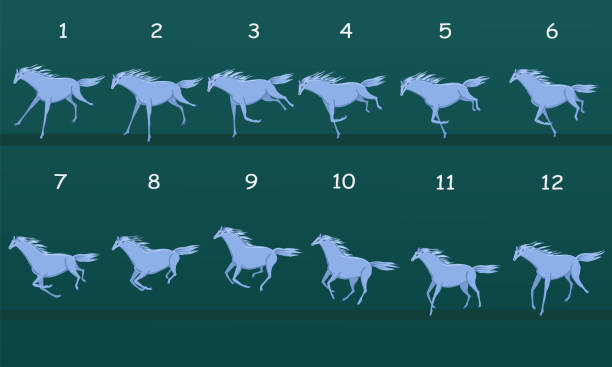 Horse Running Animation Twelve Key Positions Of Horse Running Vector  Illustration Isolated On White Background Stock Illustration - Download  Image Now - iStock