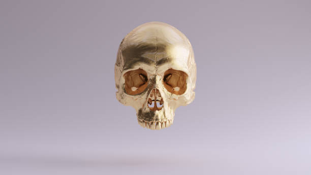 istock Gold Human Female Skull Medical Anatomical with Teeth 1329662183