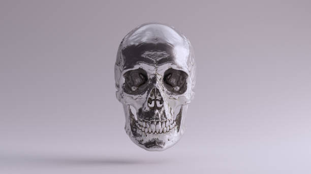 istock Silver Human Female Skull Gothic Medical Anatomical with Teeth and Jaw Bone 1329662302