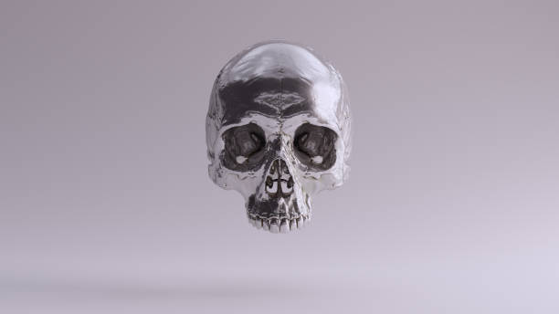 istock Silver Human Female Skull Gothic Medical Anatomical 1329662310