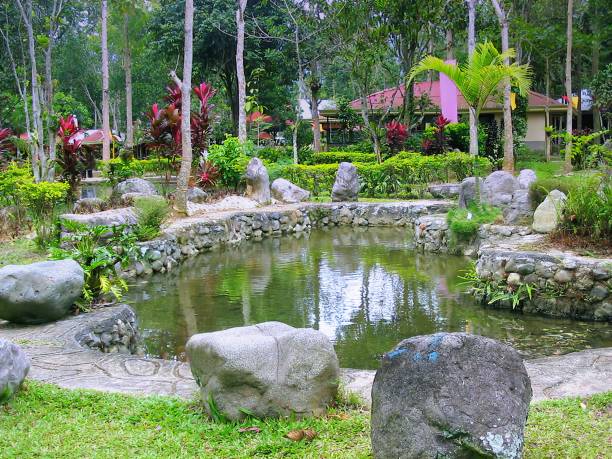 istock Small pond in a resort, with reflections in the water 1329663905