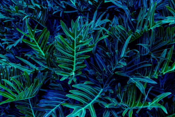 istock Full Frame of Green Leaves Pattern Backgroun 1329664966