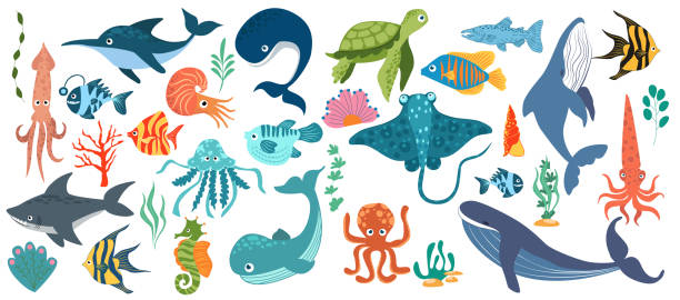 ilustrações de stock, clip art, desenhos animados e ícones de fish and wild marine animals are isolated on white background. inhabitants of the sea world, cute, funny underwater creatures dolphin, shark, ocean crabs, sea turtle, shrimp. - sea life sea reef animal