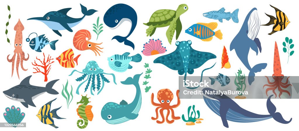 Fish And Wild Marine Animals Are Isolated On White Background Inhabitants  Of The Sea World Cute Funny Underwater Creatures Dolphin Shark Ocean Crabs  Sea Turtle Shrimp Stock Illustration - Download Image Now -