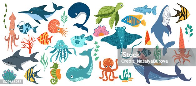 54,991 Sea Life Illustrations & Clip Art - iStock | Ocean, Marine  biologist, Coral reef
