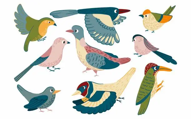 Vector illustration of Birds set vector illustration in cartoon style. Flying little cute birds collection of robin, jay, magpie, pigeon, woodpeckers, goldfinch