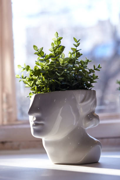 istock Vase in the shape of a face with greenery 1329670707