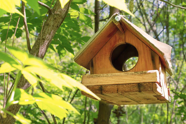 istock birdhouse for birds on the tree feeder 1329671161