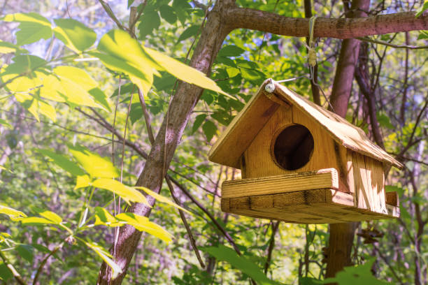 istock birdhouse for birds on the tree feeder 1329671181